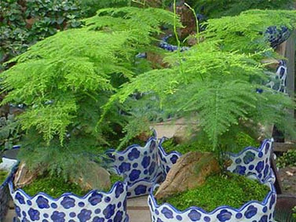 北京市地方标准