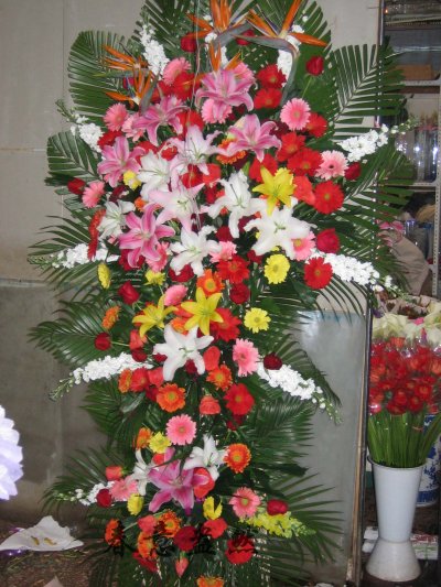 天堂鸟-金鱼草3层