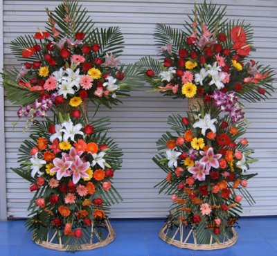 剑兰-泰国兰-火鹤