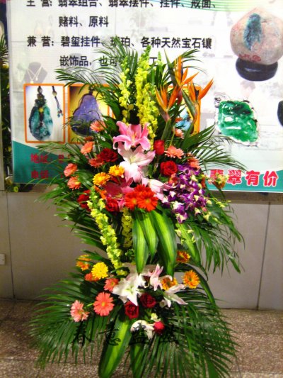 天堂鸟-泰国兰-巴西木叶