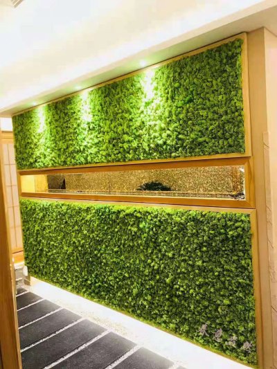 永生苔藓绿植墙