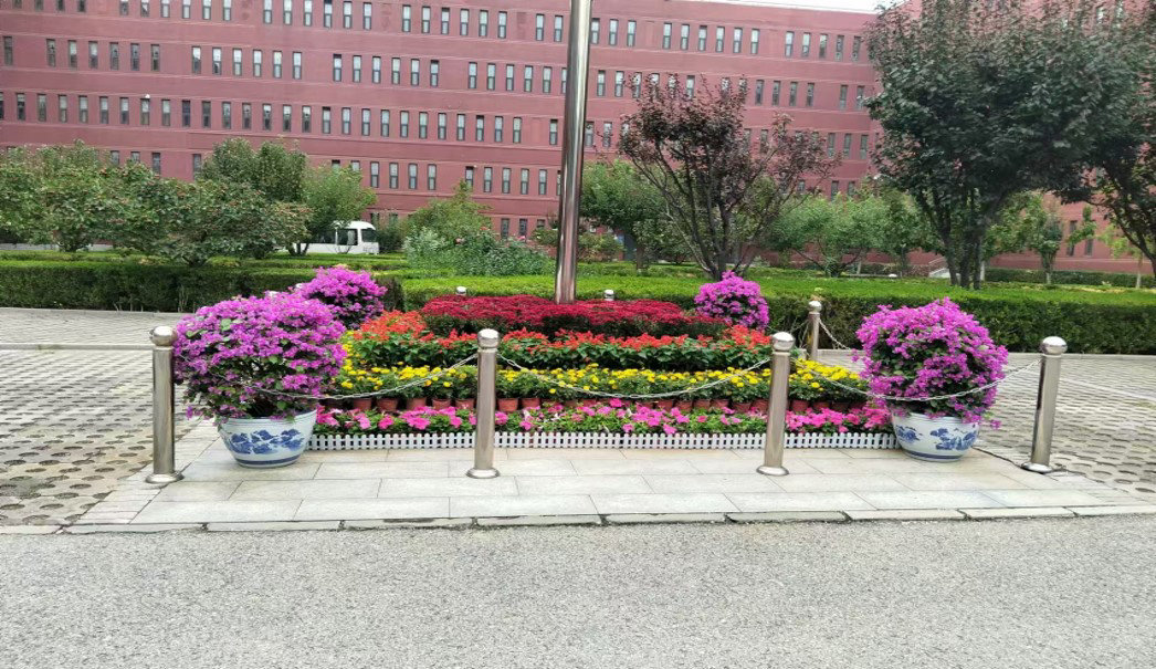 花坛摆放业务