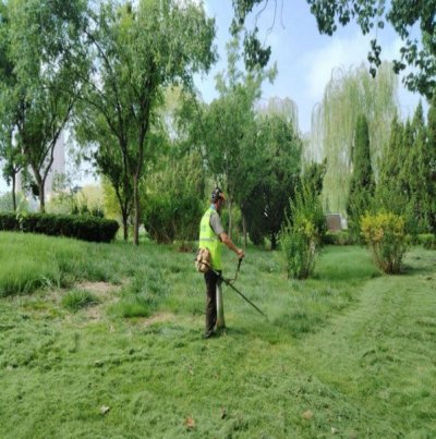 室外绿化养护业务