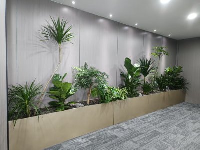 室内造景绿植案例