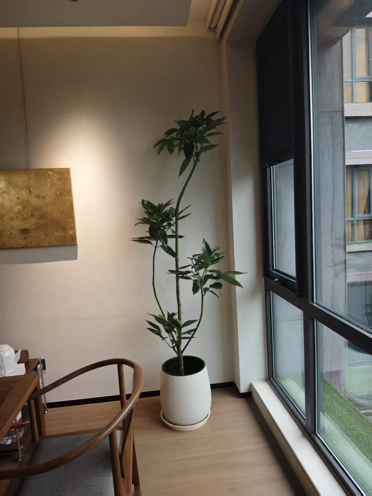 造型绿植案例